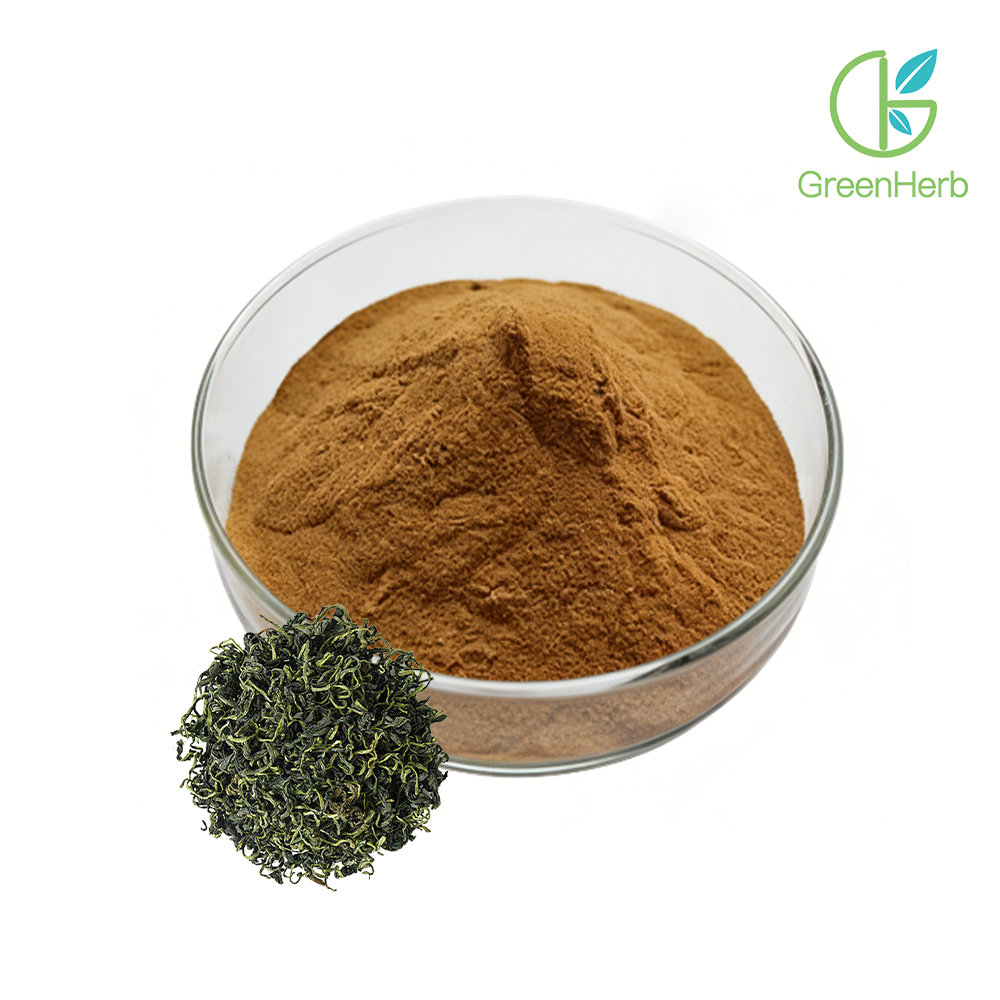 Macro close-up of Gynostemma Extract powder, fine texture