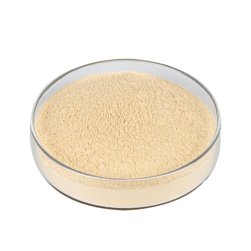 Light cream Pure Soy Protein Powder fine powder detail
