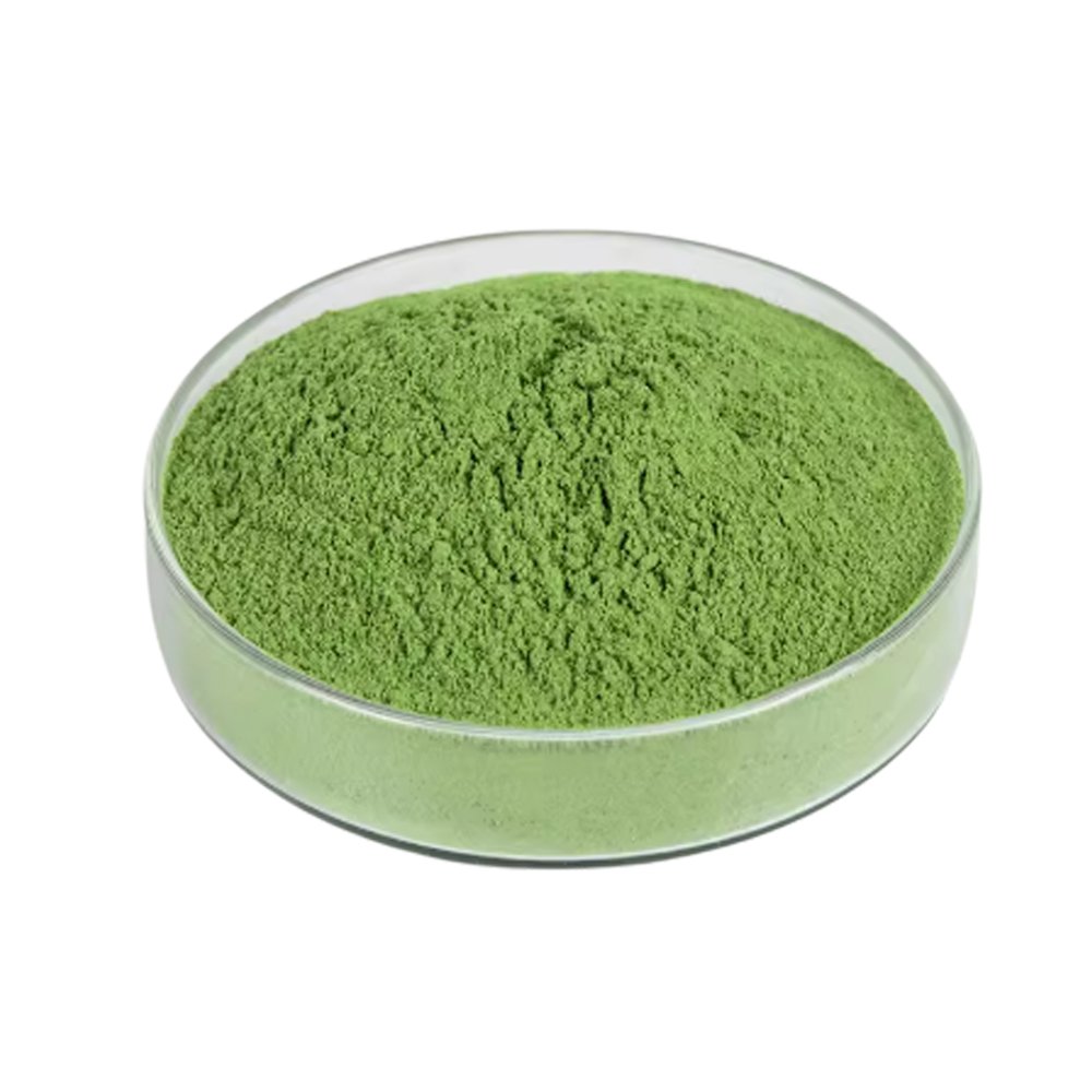 Green Alfalfa Grass Powder fine powder detail