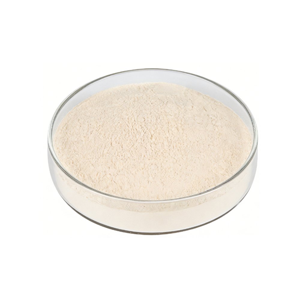 White Bamboo Extract fine powder particle detail